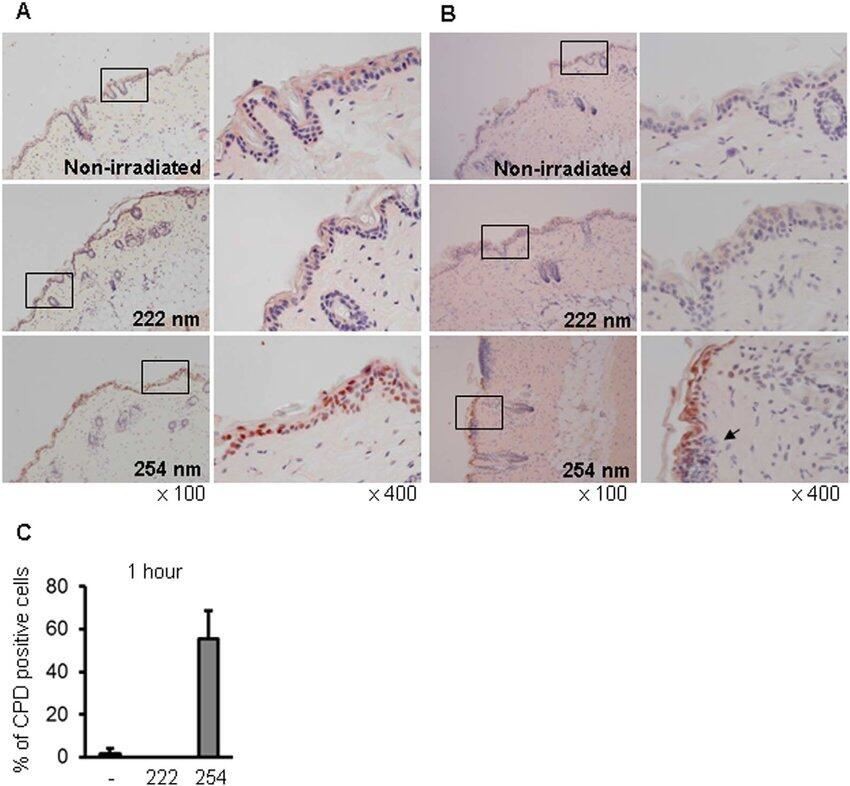 germicidal uv lamps e27 base